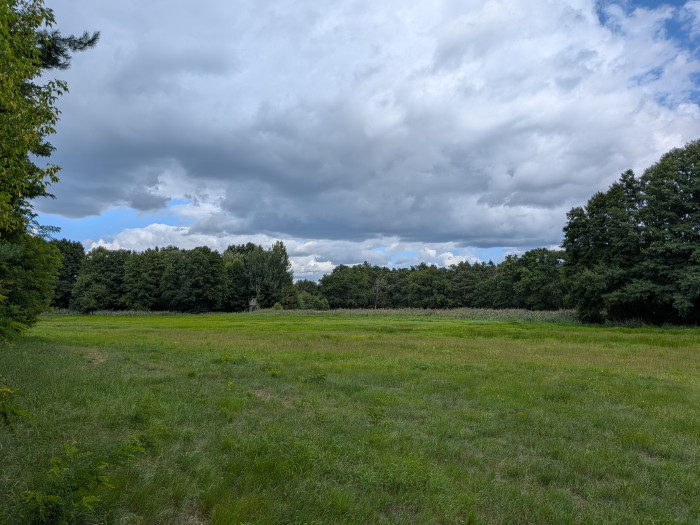 Die Hauptkamera des Pixel 10 macht gute Bilder. (Bild: Tobias Költzsch/Golem)